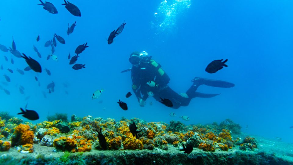 Arrecife de coral en la costa de Almuñecar