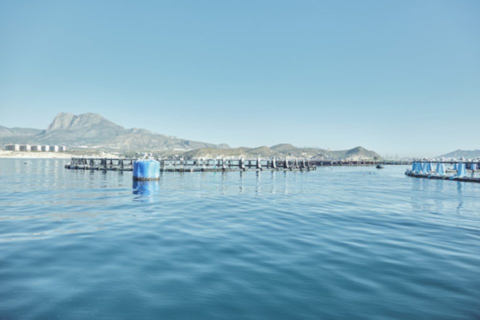 Granja marina de AVRAMAR