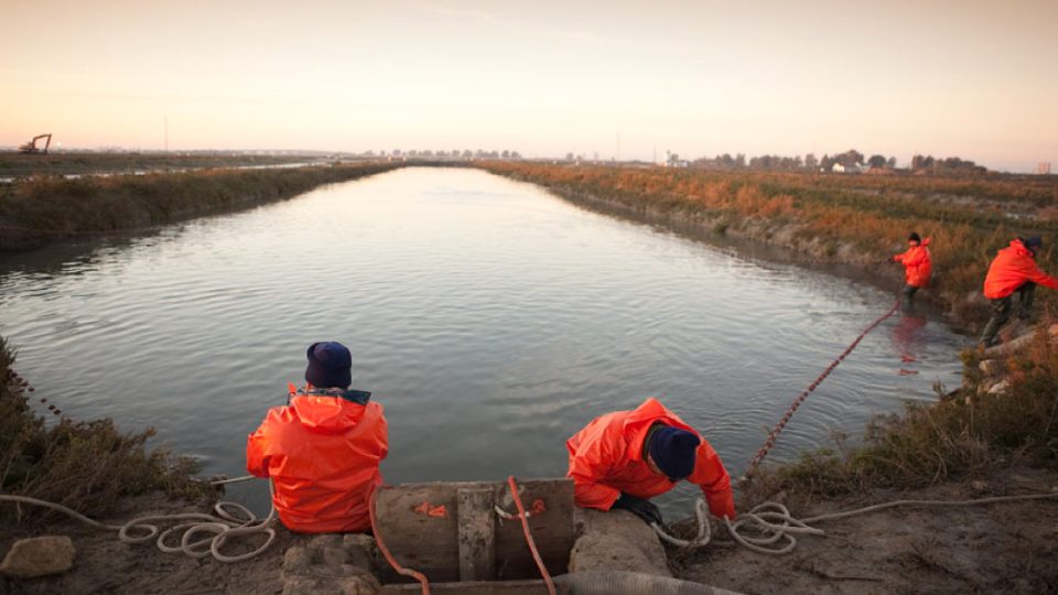 Bahía de Cádiz, despesque tradicional