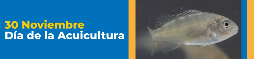 Banner día de la acuicultura
