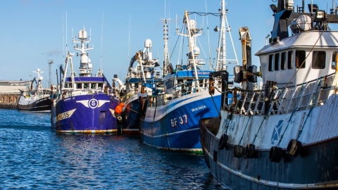 barco pesca para harina pescado