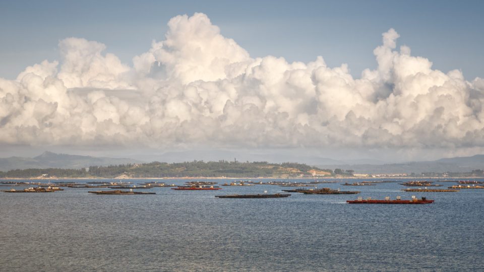 Bateas en ría de Galicia