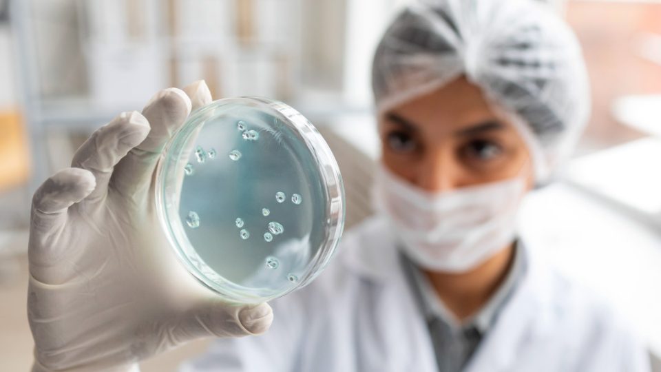 Bióloga con bacteriofagos