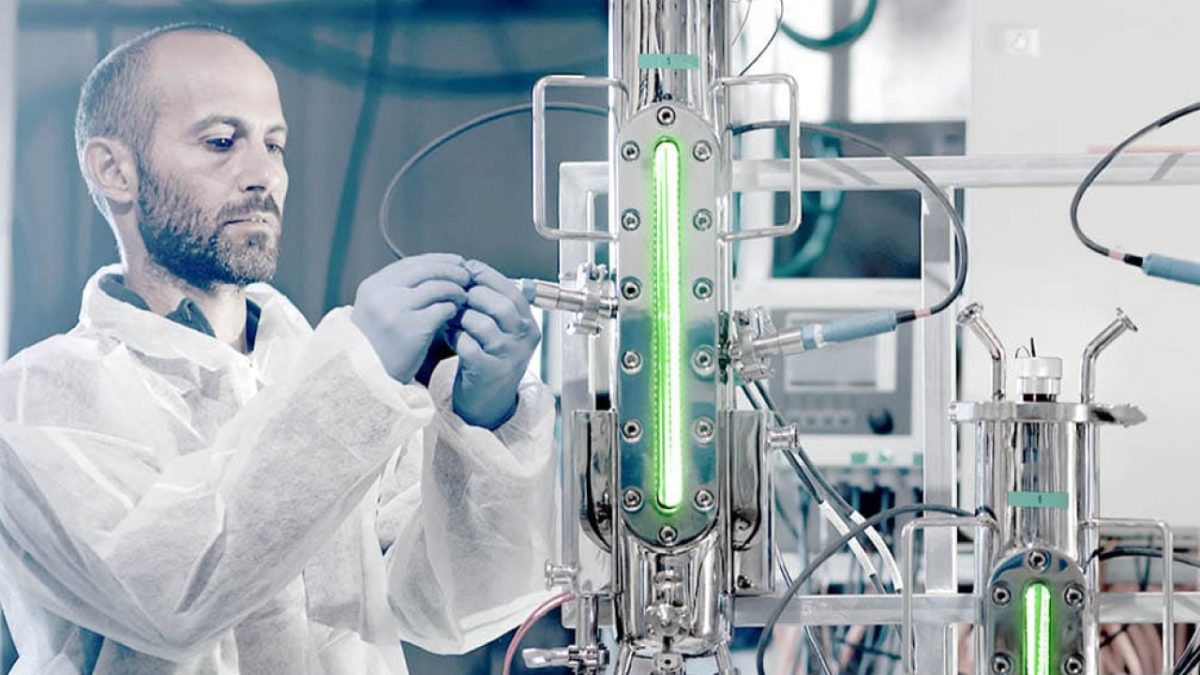 Brevel microalgae technology