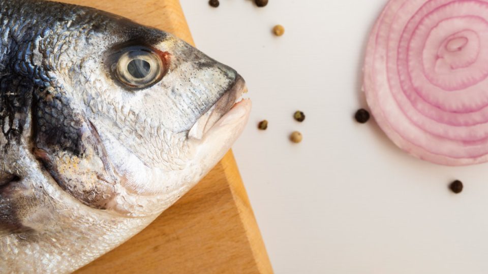 Cabeza de dorada con cebolla