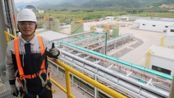Calysseo pone en marcha su fermentado para producir 20 000 toneladas de proteína unicelular