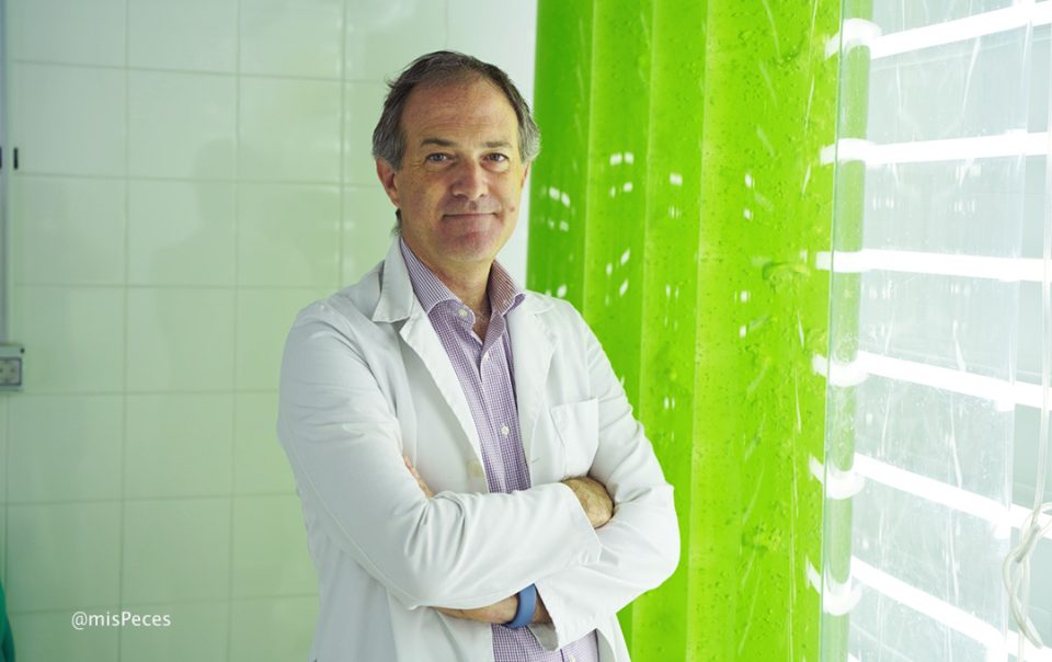 Carlos Unamunzaga, presidente EABA