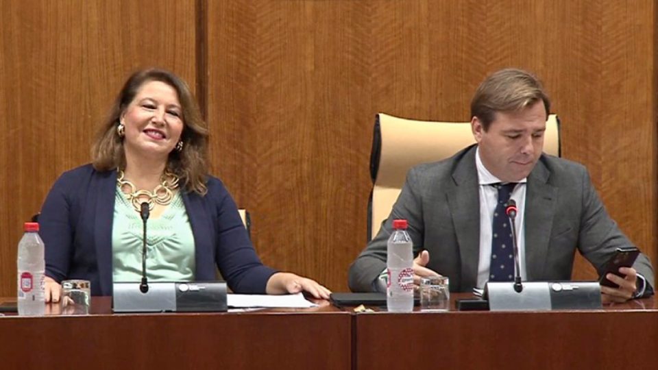 Carmen Crespo durante la presentación de los presupuestos