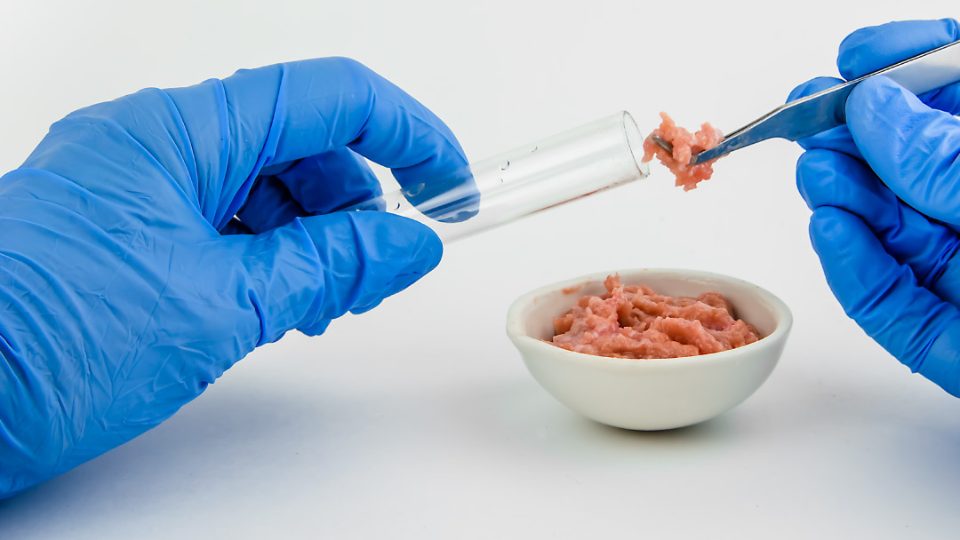 carne de laboratorio en probeta