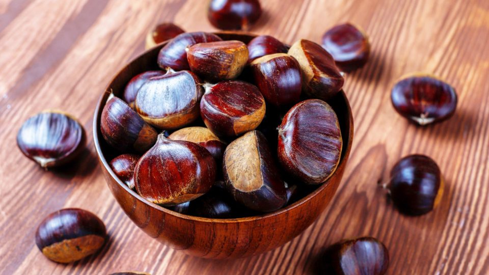 Castaña (Castanea sativa)