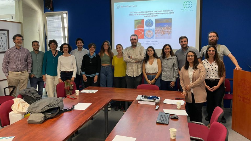 Investigadores microalga Chlorella Universidad de Sevilla y Universidad de Huelva
