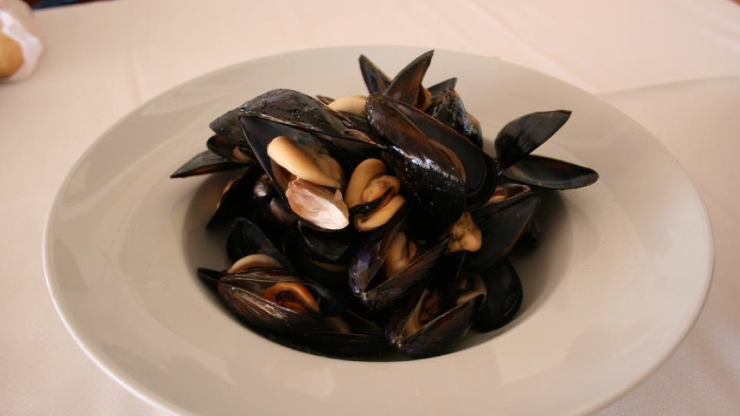 Clóchina valenciana Clóchina valenciana