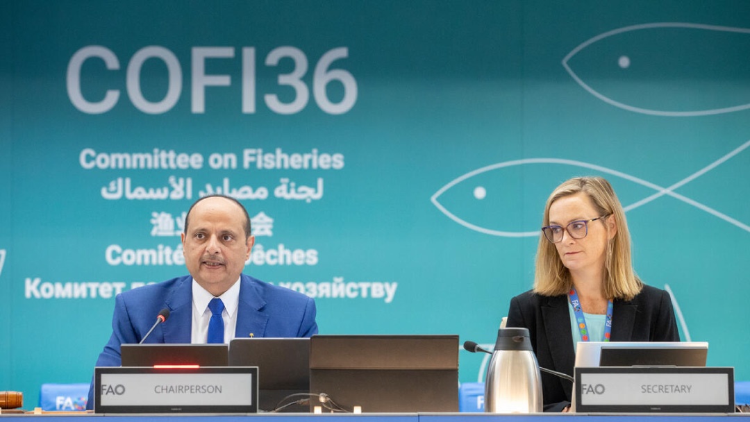36 COFI FAO 36 COFI FAO