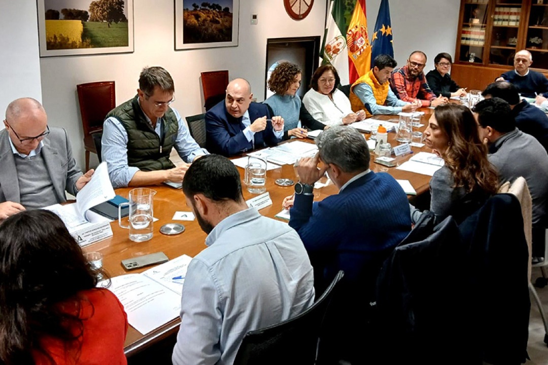 Comité Económico de Andalucía Comité Económico de Andalucía