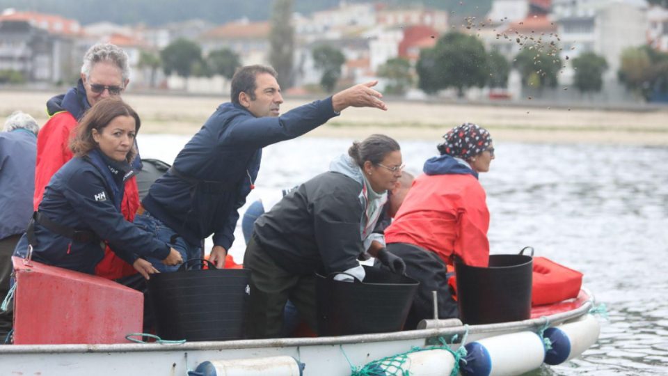 Conselleiro del Mar, Alfonso Villares suelta almeja