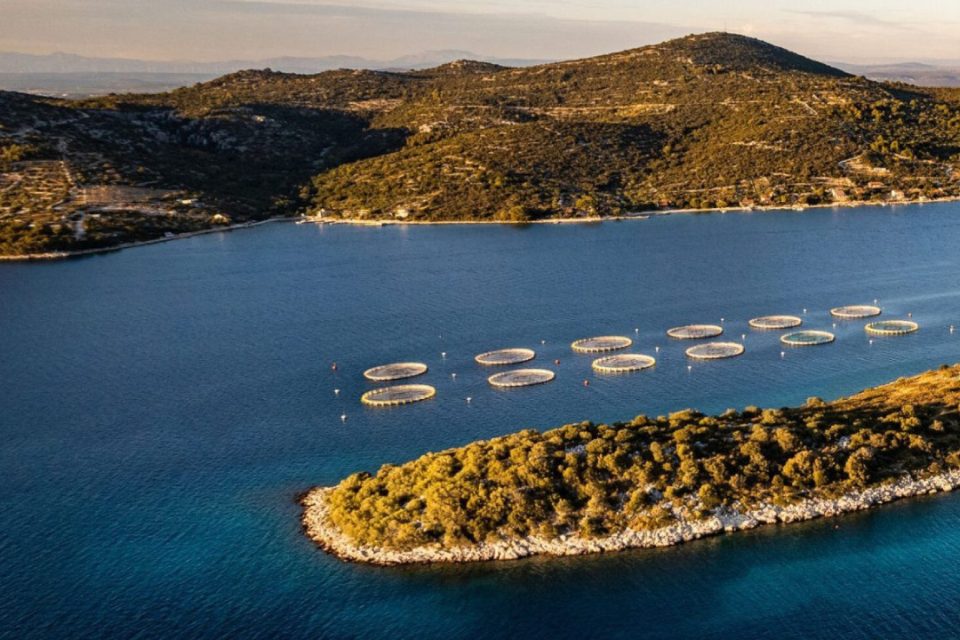 Cromaris - Croacia