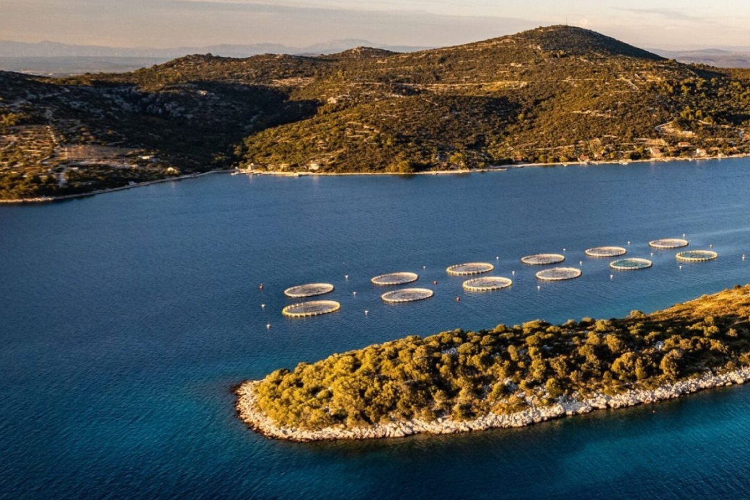 Cromaris - Croacia Cromaris - Croacia