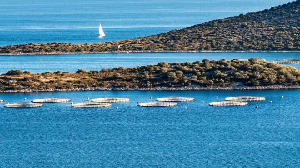 Cromaris - Croatia