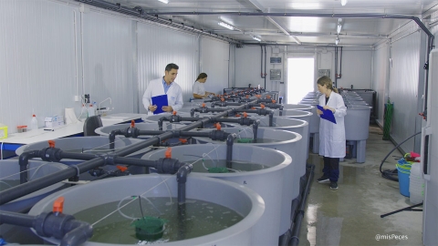 CTAQUA Sala Cervera experimentación animal