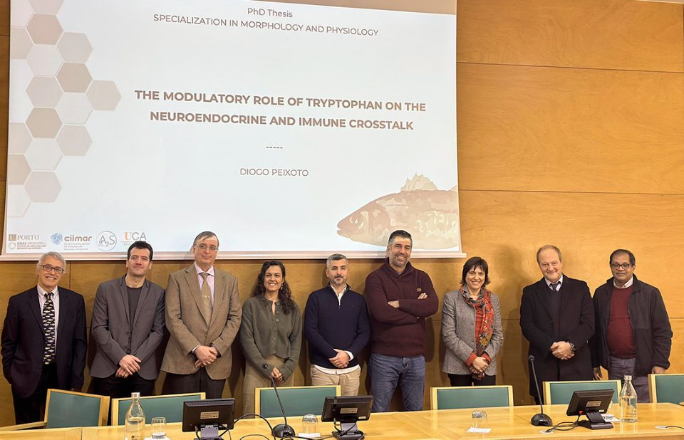 Diogo Peixoto (centro), junto con tribunal tesis