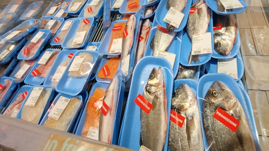 Doradas y lubinas envasadas en supermercado de Italia Doradas y lubinas envasadas en supermercado de Italia