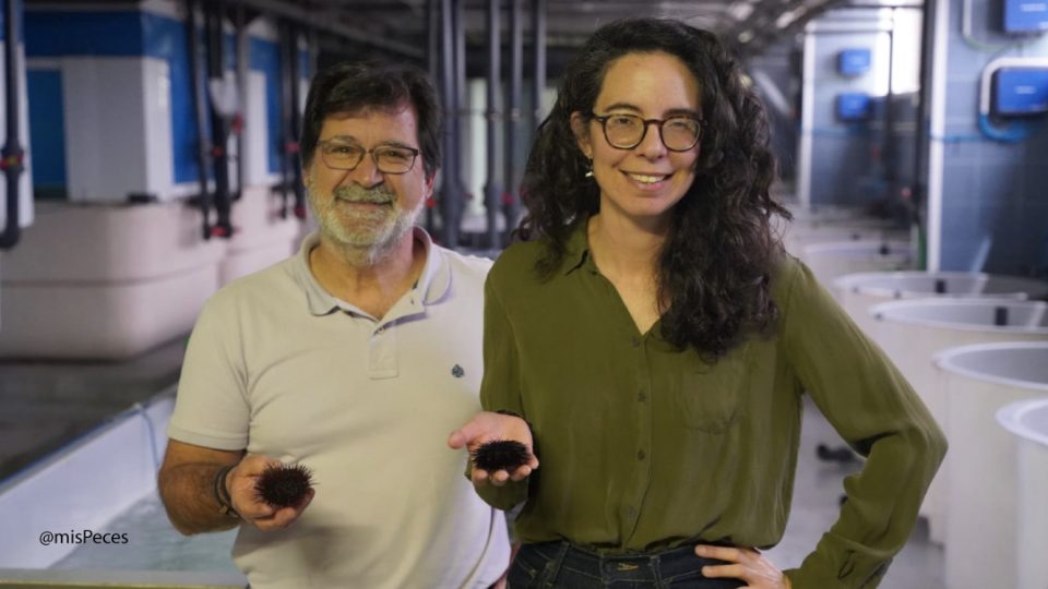 ECHINAQUA - José Antonio Muñoz Cueto y Ana Belén Tinoco