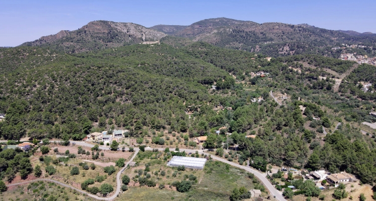 Invernadero de cultivo de espirulina a vista de drone