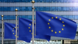 Un informe de EUMOFA analiza los desafíos que enfrentan los productores europeos de acuicultura