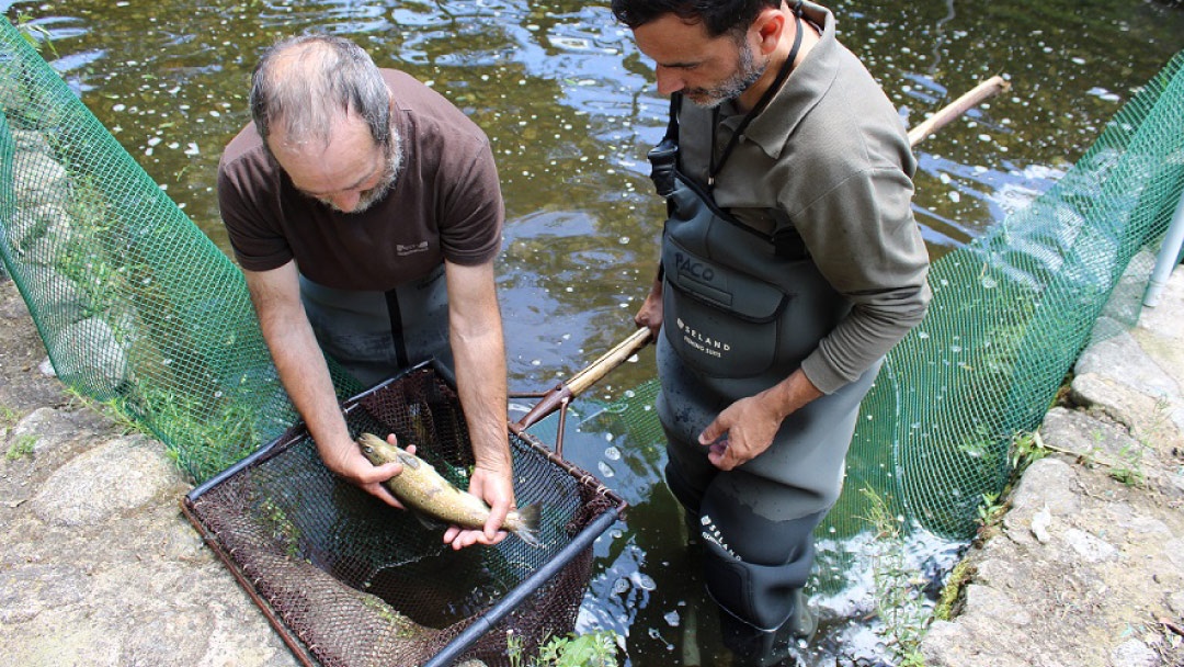 Extremadura centro reproducción y cría de salmónidos