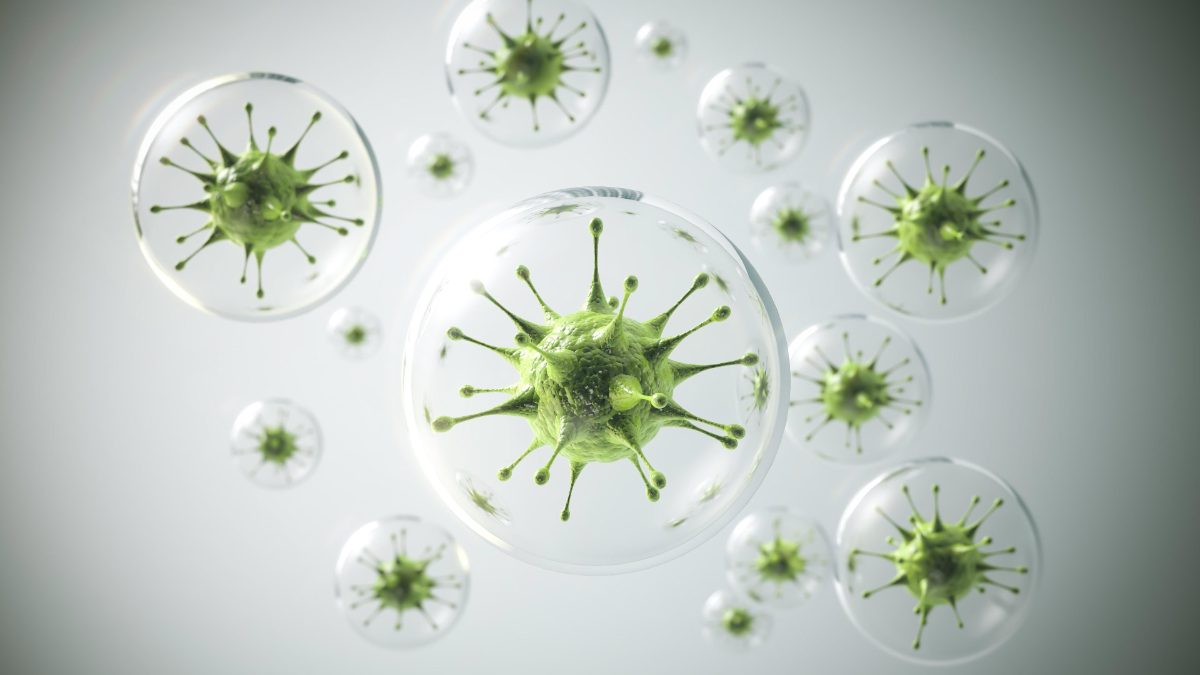 Simulación de virus bactericidas