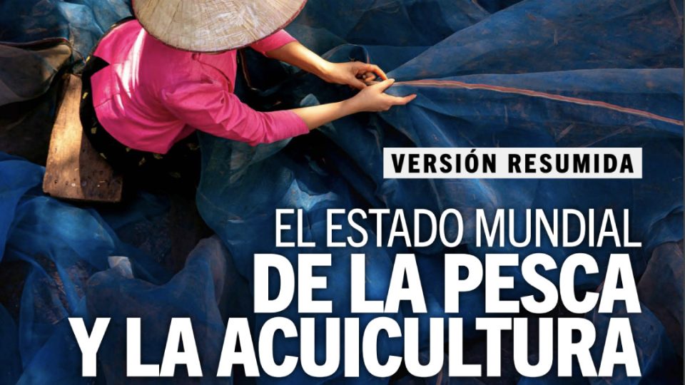 Informe SOFIA 2024: Estado Mundial de la Pesca y la Acuicultura
