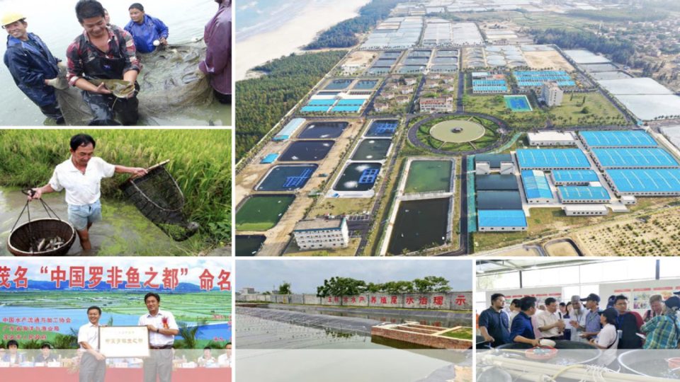 FAO, manual Aquaparks en China