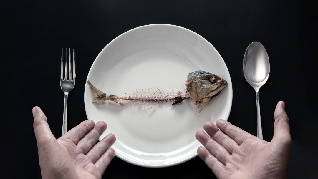Espina pescado sobre plato