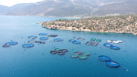 Granja de acuicultura en Grecia