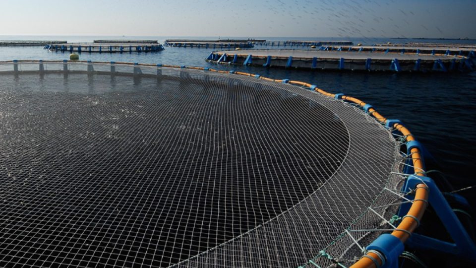 Granja de acuicultura en el Mediterráneo