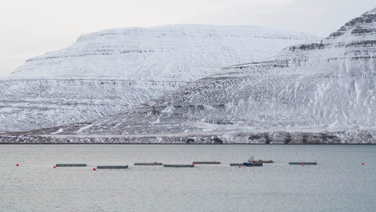 Granja de peces en Islandia