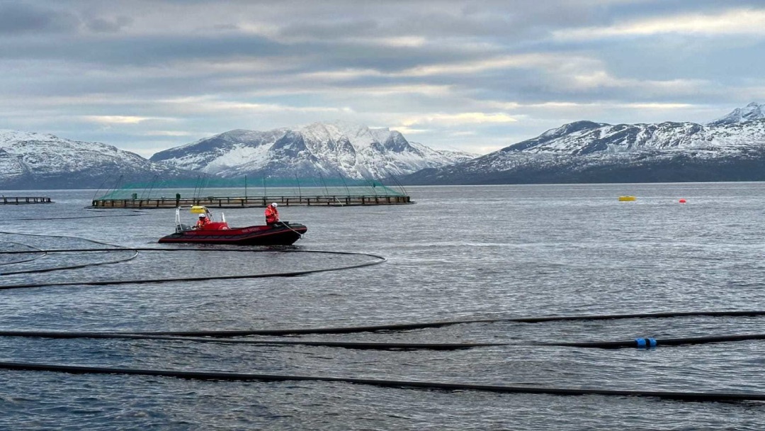 Granja de salmón de CERMAQ, en Noruega Granja de salmón de CERMAQ, en Noruega