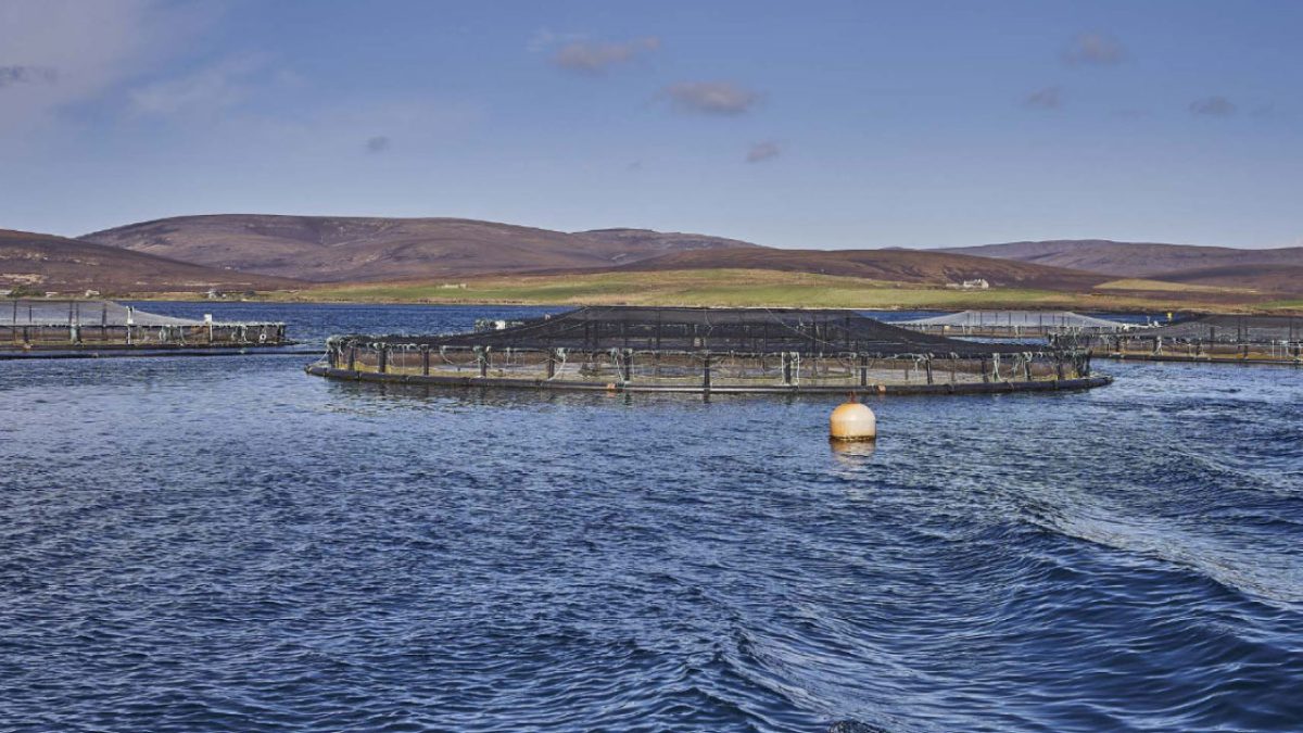 Granja de salmón de Cooke Aquaculture Scotland