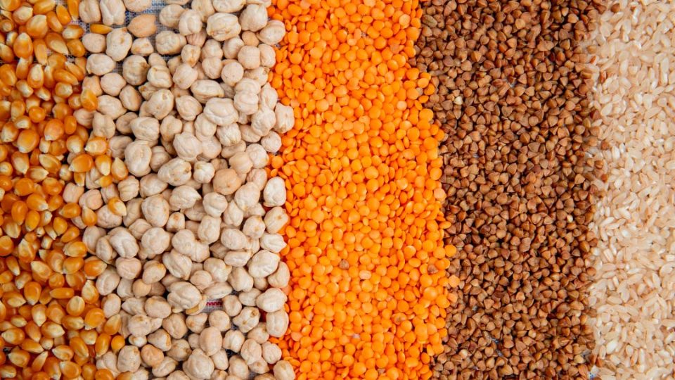Diversos granos vegetales