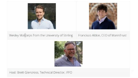 IFFO, InFocus Subproducts Webinario