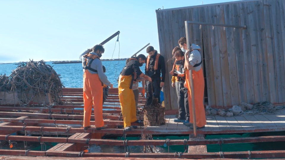Estudiantes de IGAFA practicas en batea