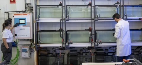 Investigadores de CTAQUA en laboratorio de patología