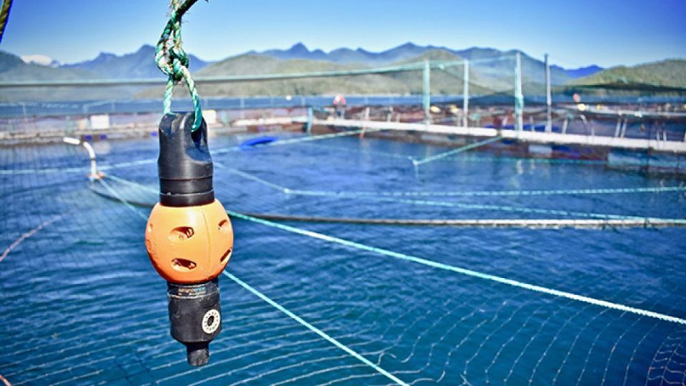 INNOVASEA - aquaMeasure at water