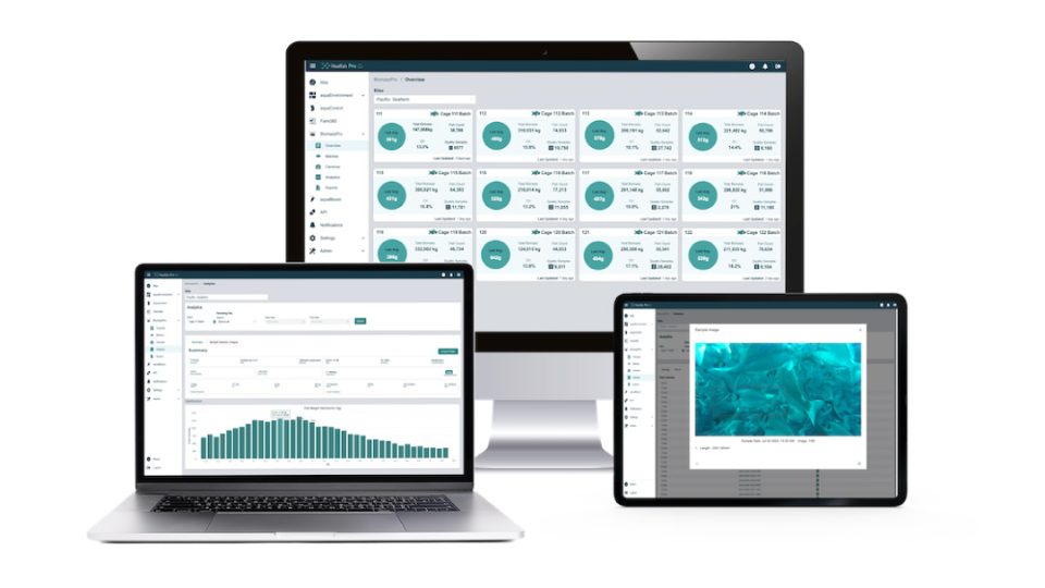 INNOVASEA dashboard
