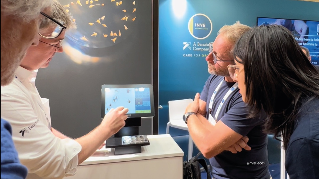 Inve lanza SnappArt en AE23WIEN Inve lanza SnappArt en AE23WIEN
