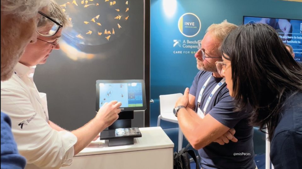 Inve lanza SnappArt en AE23WIEN