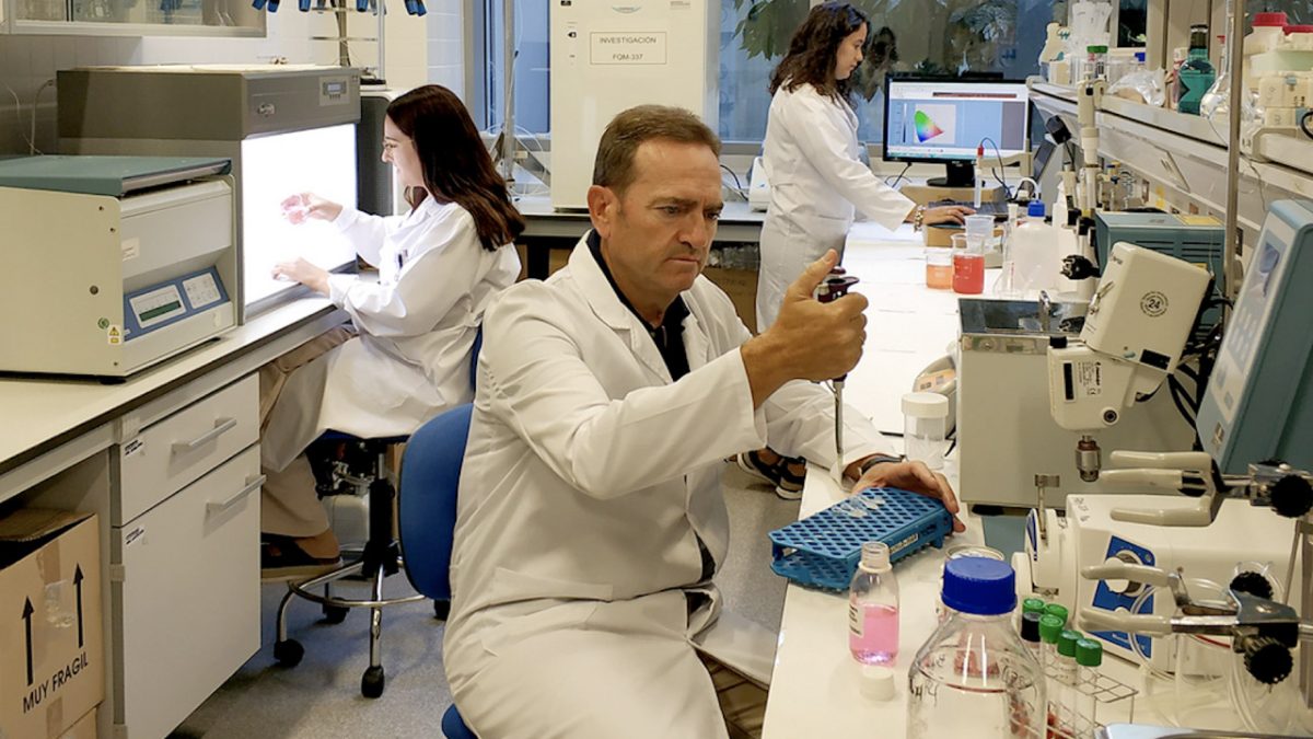 Investigadores Universidad de Jaén