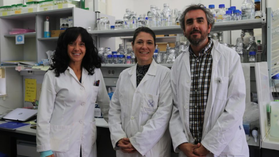 Investigadores de la Universidad de Córdoba