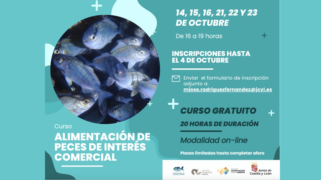 ITACyL y SEA organizan curso de Alimentación de Peces de Interés Comercial ITACyL y SEA organizan curso de Alimentación de Peces de Interés Comercial