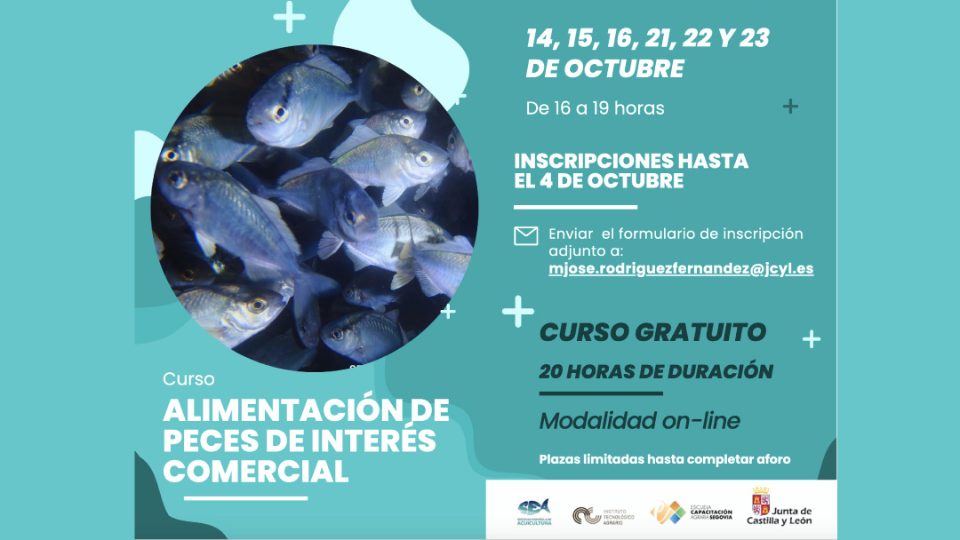 ITACyL y SEA organizan curso de Alimentación de Peces de Interés Comercial